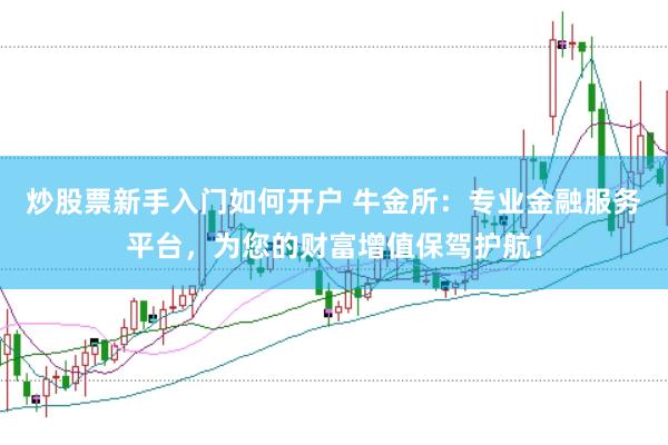 炒股票新手入门如何开户 牛金所：专业金融服务平台，为您的财富增值保驾护航！