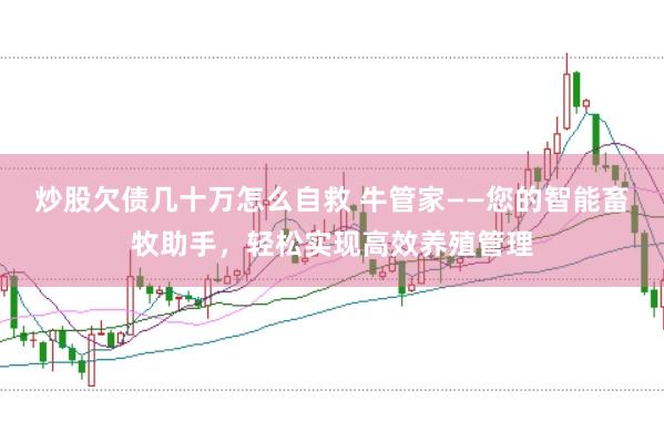 炒股欠债几十万怎么自救 牛管家——您的智能畜牧助手，轻松实现高效养殖管理
