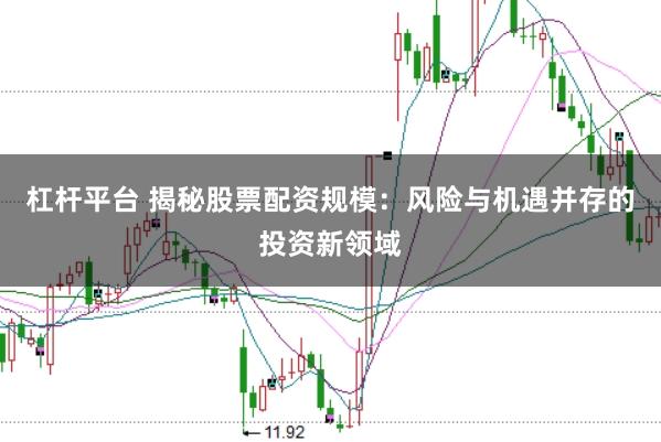 杠杆平台 揭秘股票配资规模：风险与机遇并存的投资新领域