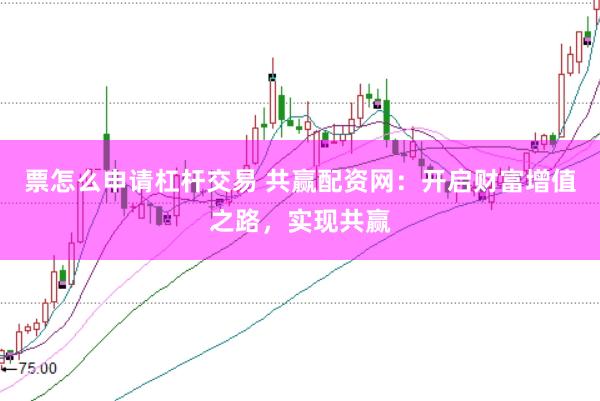 票怎么申请杠杆交易 共赢配资网：开启财富增值之路，实现共赢