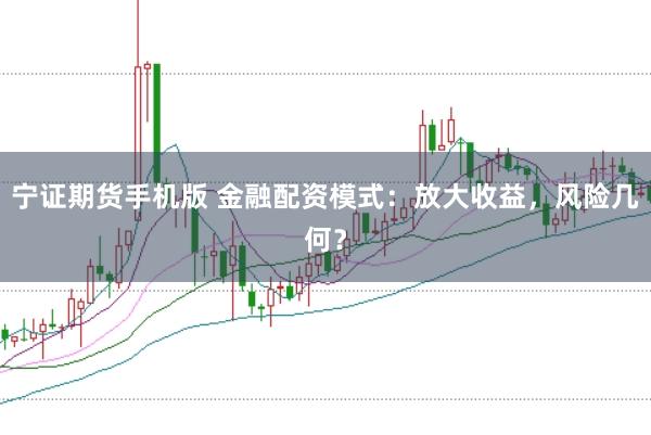 宁证期货手机版 金融配资模式：放大收益，风险几何？