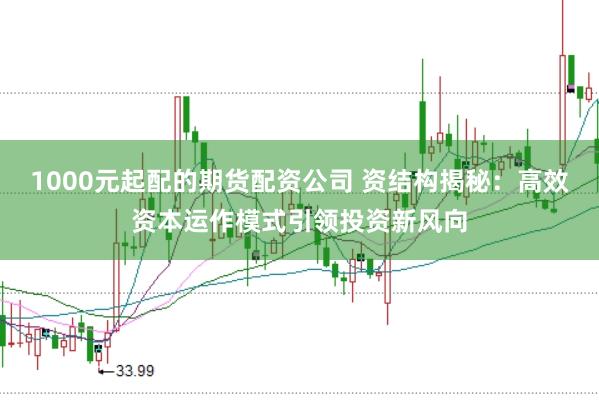1000元起配的期货配资公司 资结构揭秘：高效资本运作模式引领投资新风向