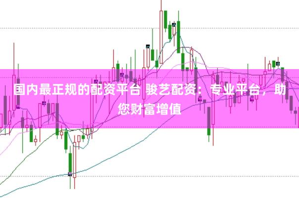 国内最正规的配资平台 骏艺配资：专业平台，助您财富增值